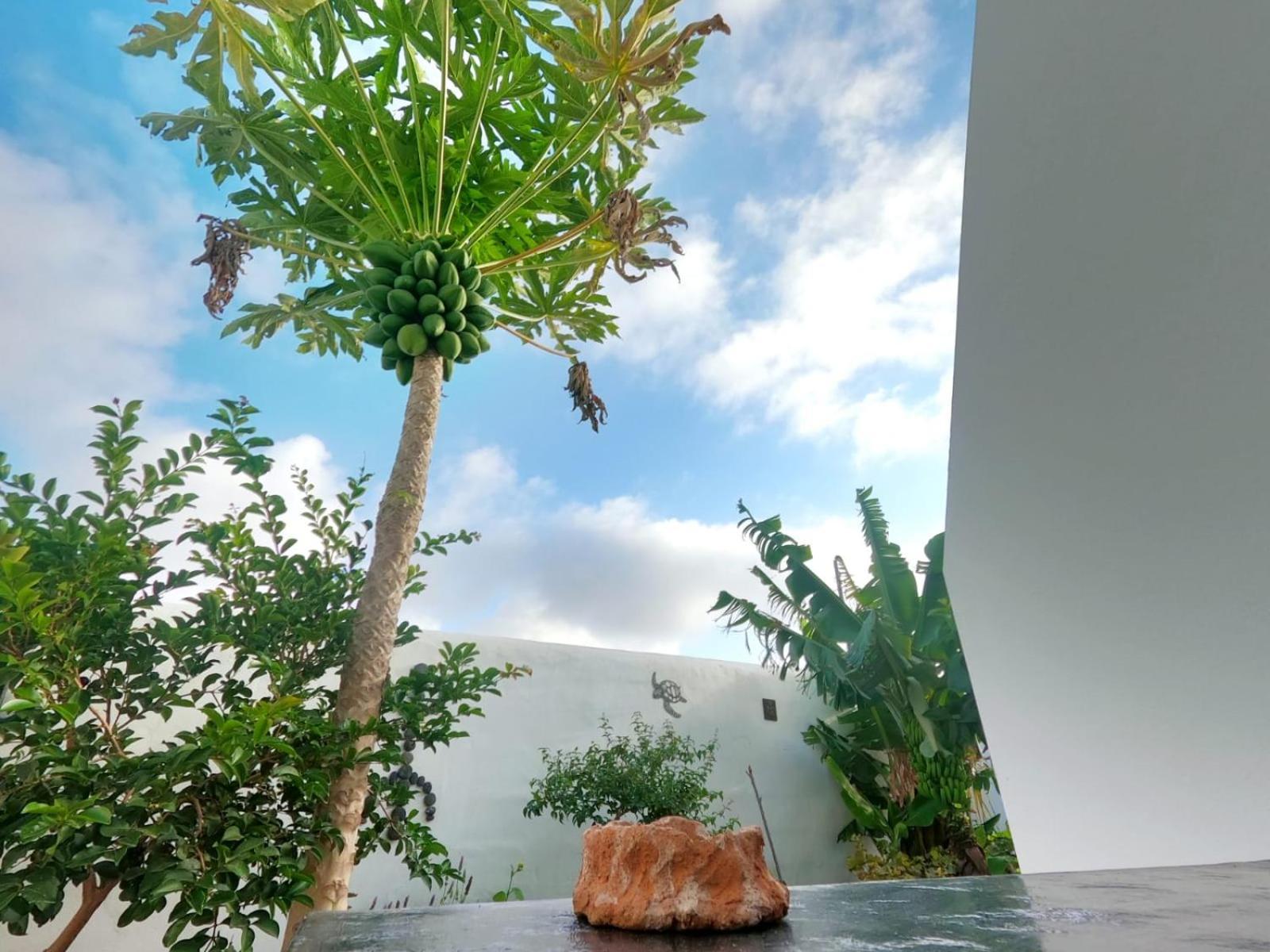 Jardin Del Mar Lejlighed Tinajo Eksteriør billede